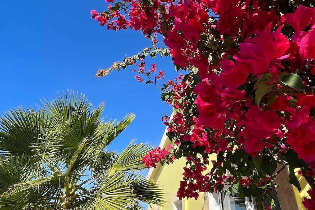 Gemeo Vue Mer, Piscine Acces Prive * Calheta